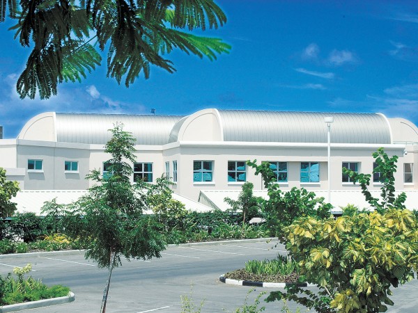 Curved, Seamed Roof